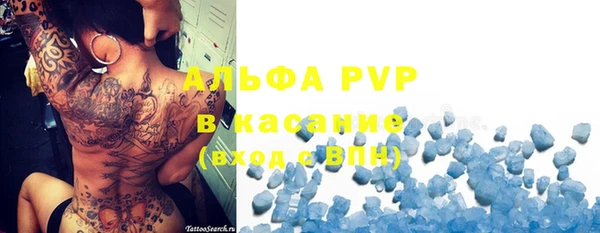PSILOCYBIN Балабаново
