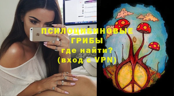 PSILOCYBIN Балабаново