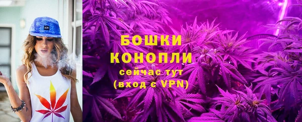 PSILOCYBIN Балабаново
