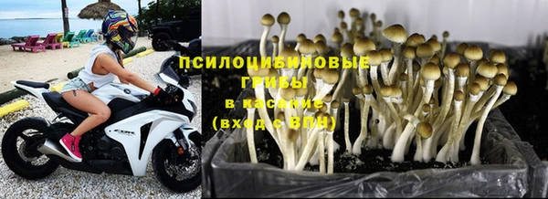 PSILOCYBIN Балабаново