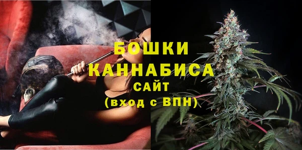 PSILOCYBIN Балабаново