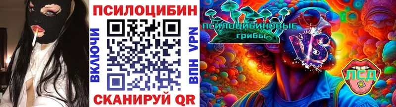 Галлюциногенные грибы Psilocybine cubensis  Афипский 